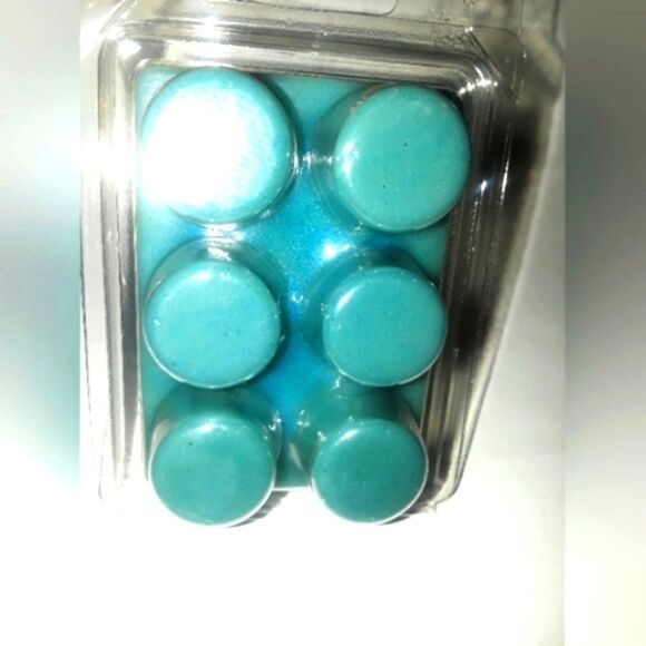Hand Crafted Eucalyptus waxmelt Rounds - Picture 1 of 9